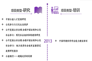 极品啪非评估类项目发展历程